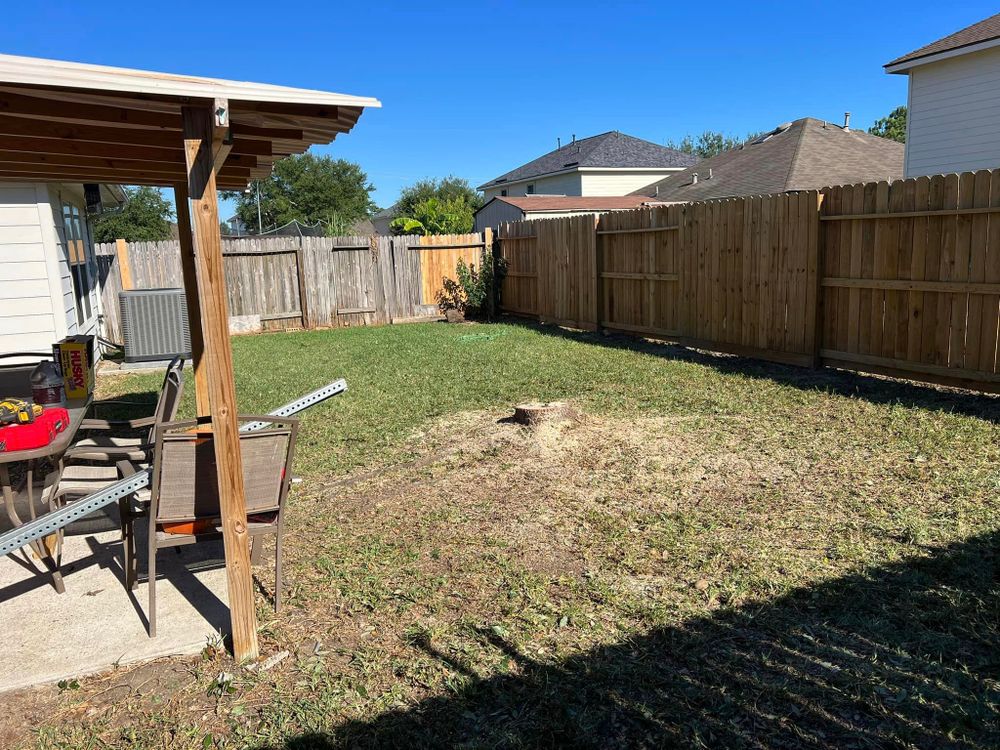 Tree Trimming for Bobby’s lawn services in Baytown, TX