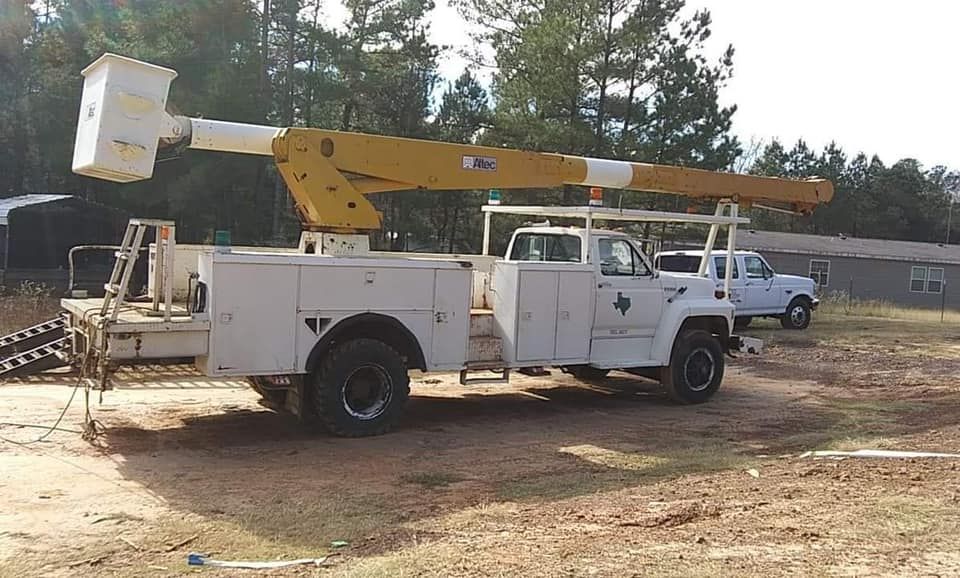 Tree Removal for Action Tree & Debris Removal in Jackson,  MS