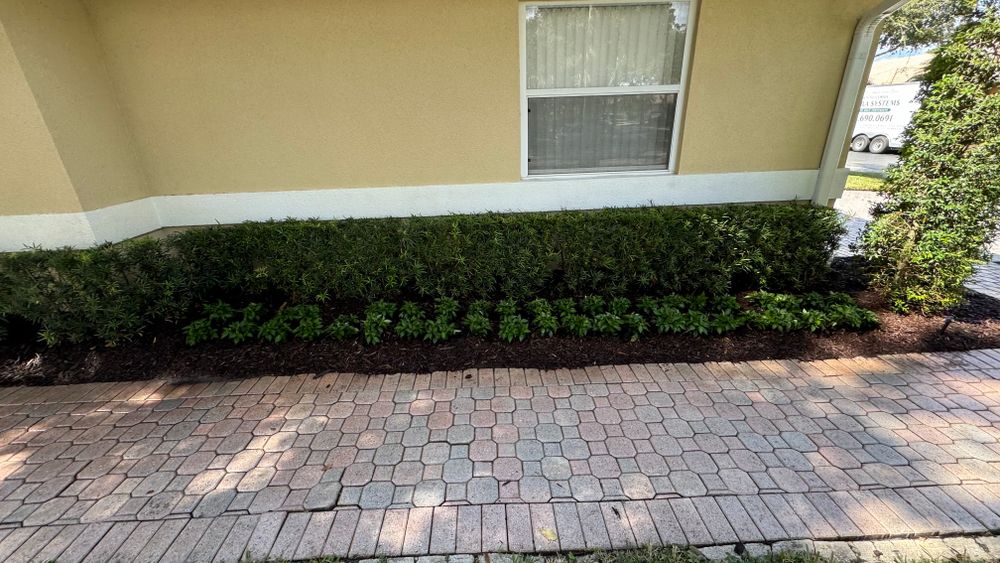 All Photos for South Florida Terra Systems in Boynton beach ,  FL