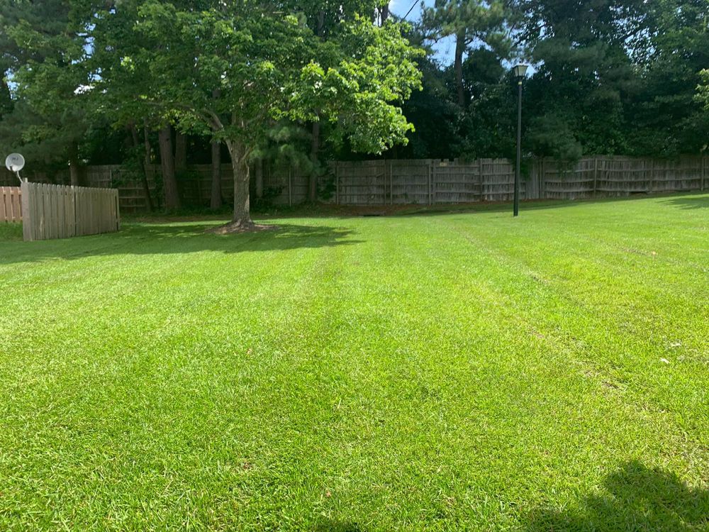 Enhance your lawn's beauty with our professional weed removal service, effectively eliminating unwanted growth. Our experts also provide comprehensive stump tree removal for a cleaner, healthier outdoor environment. for Everett Lawn Care in Raleigh, NC