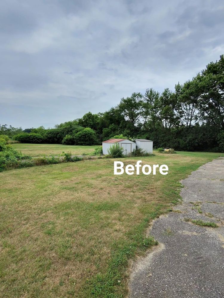 All Photos for F & F Tree Service in Beavercreek, OH