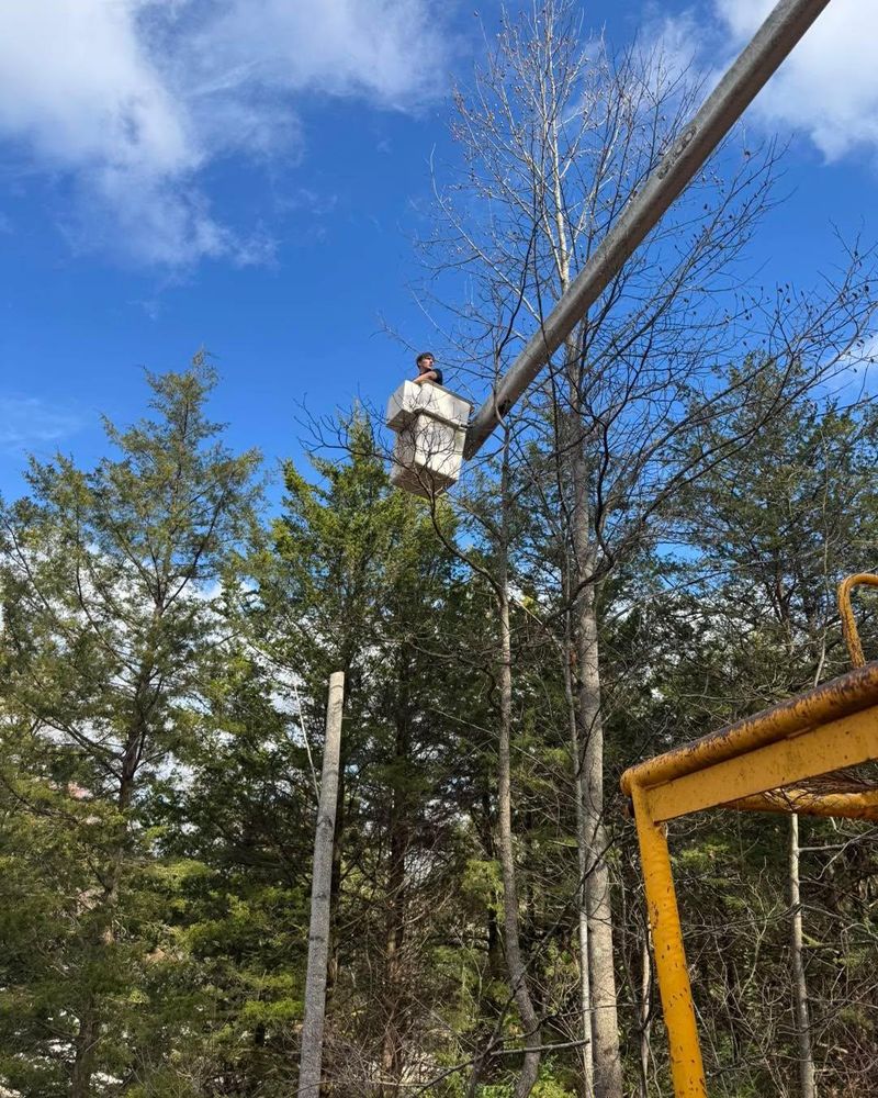 All Photos for Merriman's Tree Service in Nineveh,  IN