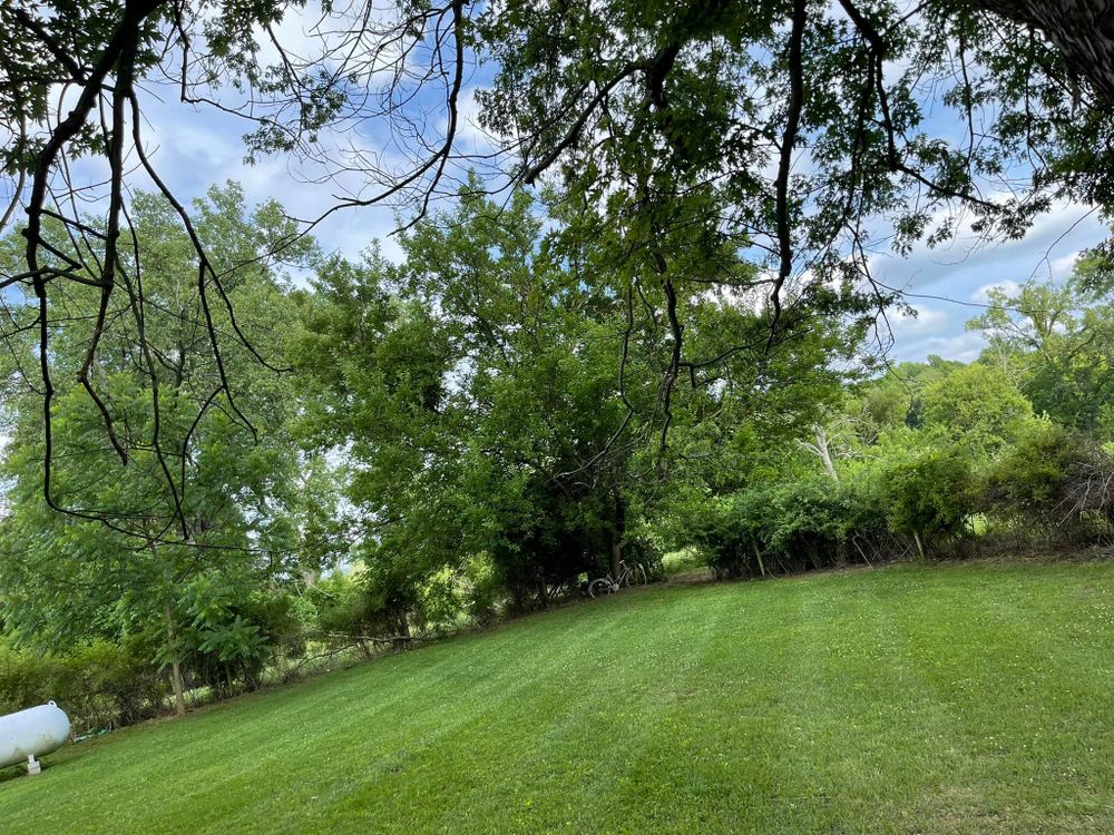 Lawn Care for Chapmans Lawncare and Landscaping in Connersville, IN