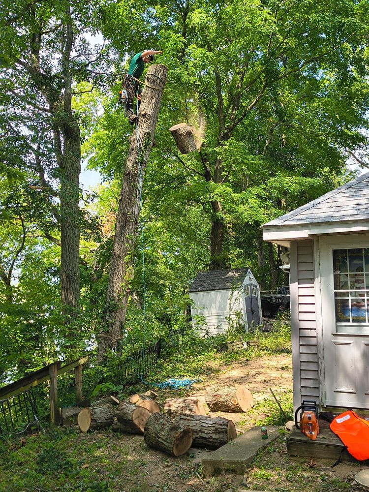 All Photos for Hunnicutt’s Tree Service L.L.C. in Monticello, IN