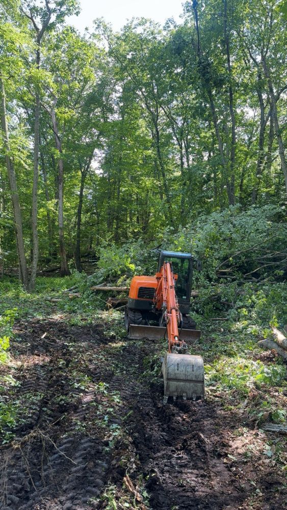 Our Land Clearing & Demolition service efficiently prepares your property by removing obstacles and unwanted structures, ensuring a clean slate for new development or landscaping projects with precision and care. for Davis Services  in Bethany, CT