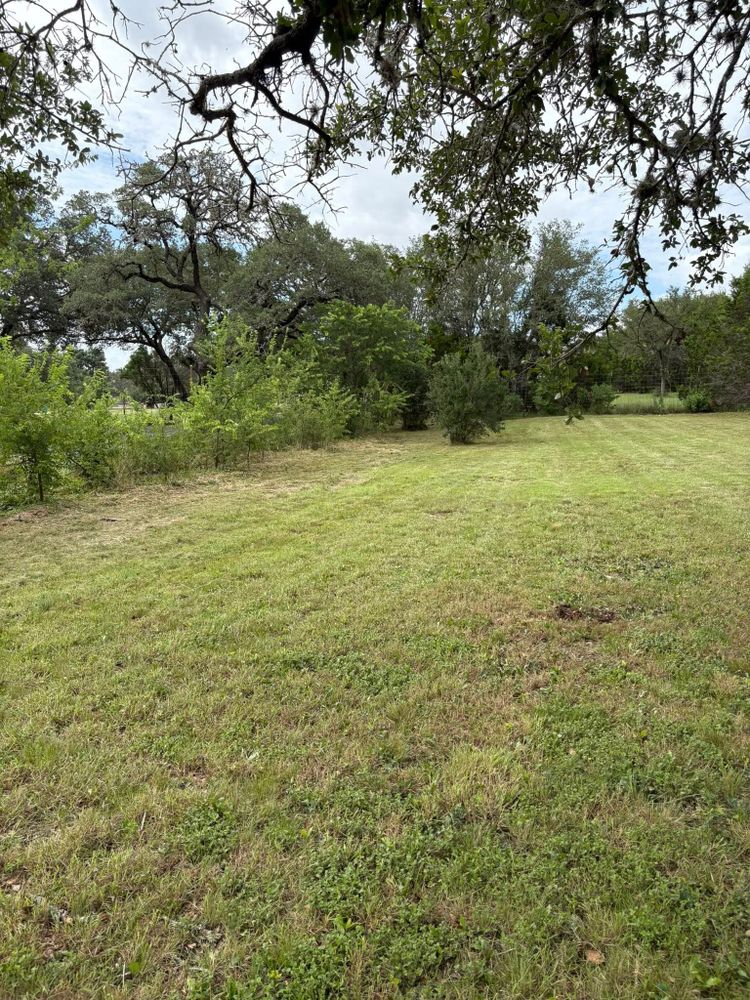 experience a pristine lawn with our comprehensive Lawn Maintenance service, including mowing, edging, fertilizing, and weed control. Our expert team ensures your yard stays healthy and vibrant throughout the seasons. for Bad Axe Landscapes LLC in Schertz, TX