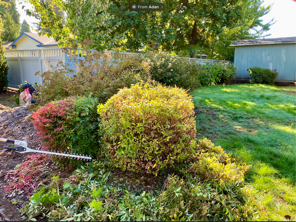 All Photos for Willamette Landscaping and Tree Services in Albany, OR