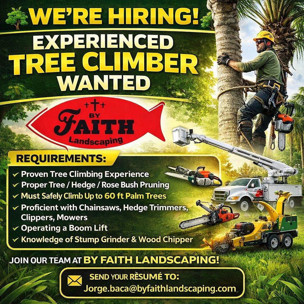 Stump Removal for By Faith Landscaping in Sierra Vista, AZ