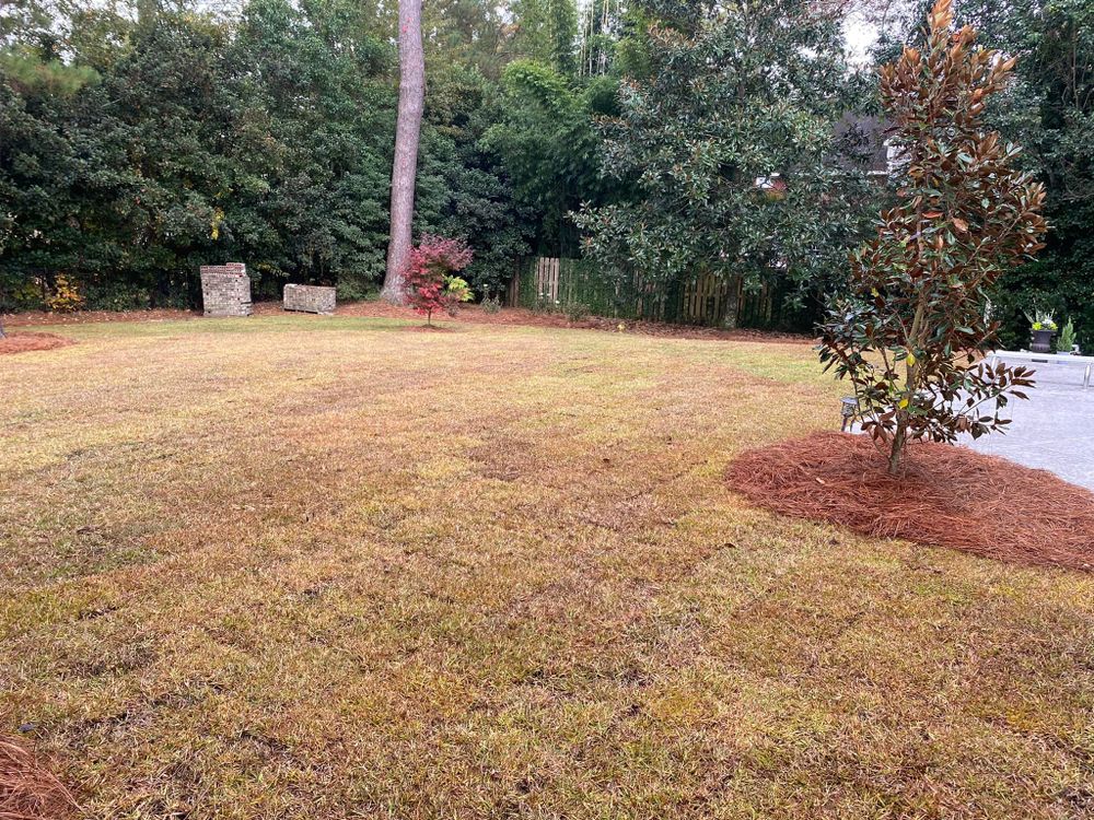 All Photos for Thomasville Lawn Care in Thomasville, GA