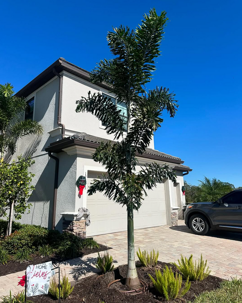 Landscaping for Plant World LLC in Cape Coral, FL