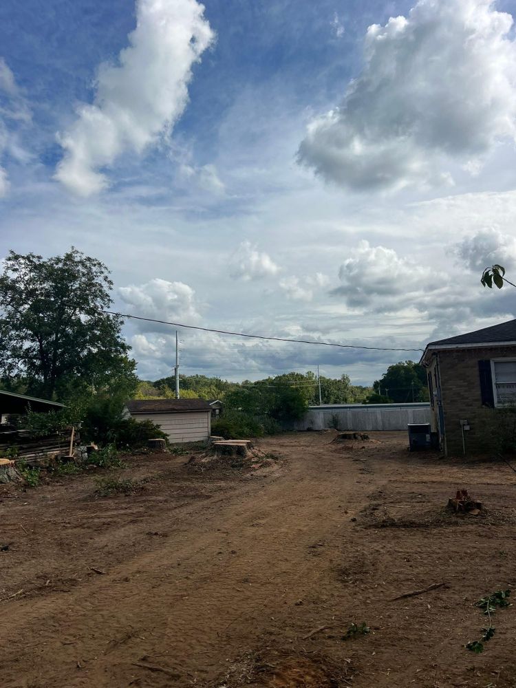 All Photos for Brooks Tree Service in Casar, NC