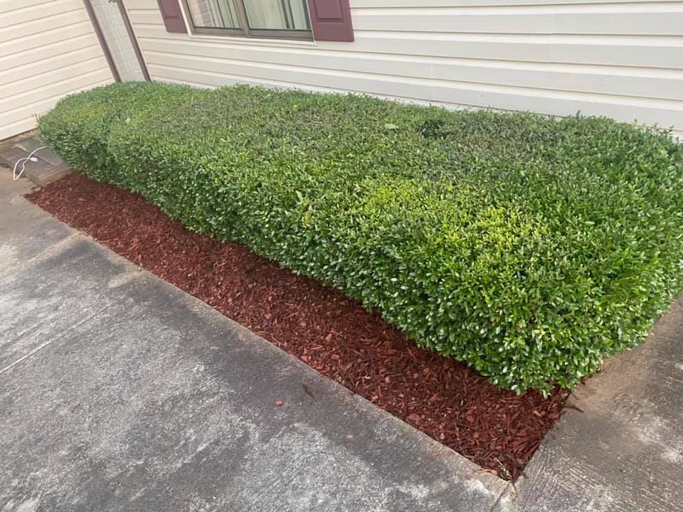 Lawn Care for Durham Right Lawn Services in Rock Hill, SC