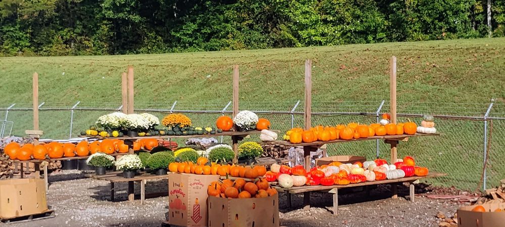 All Photos for Rutledge Contracting LLC in Hazel Green, AL