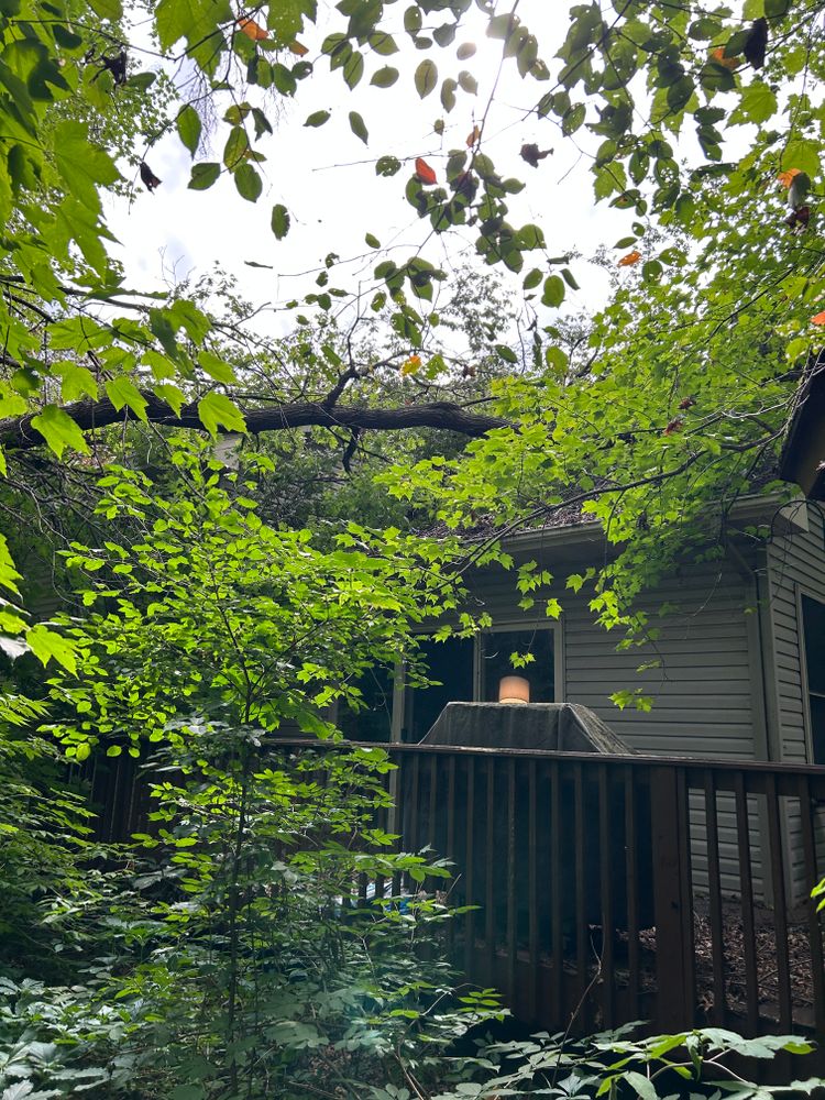 All Photos for Allstate Tree Service in Fridley, MN