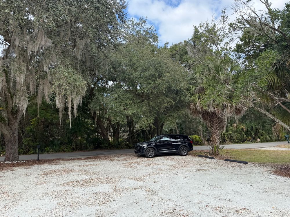 All Photos for Amerigrown Tree And Lawn in Apopka, FL