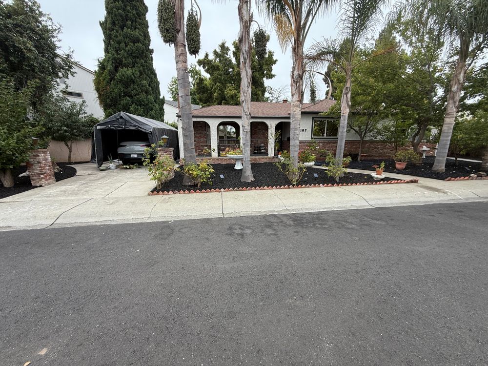 All Photos for CBA Landscaping in Hayward, CA