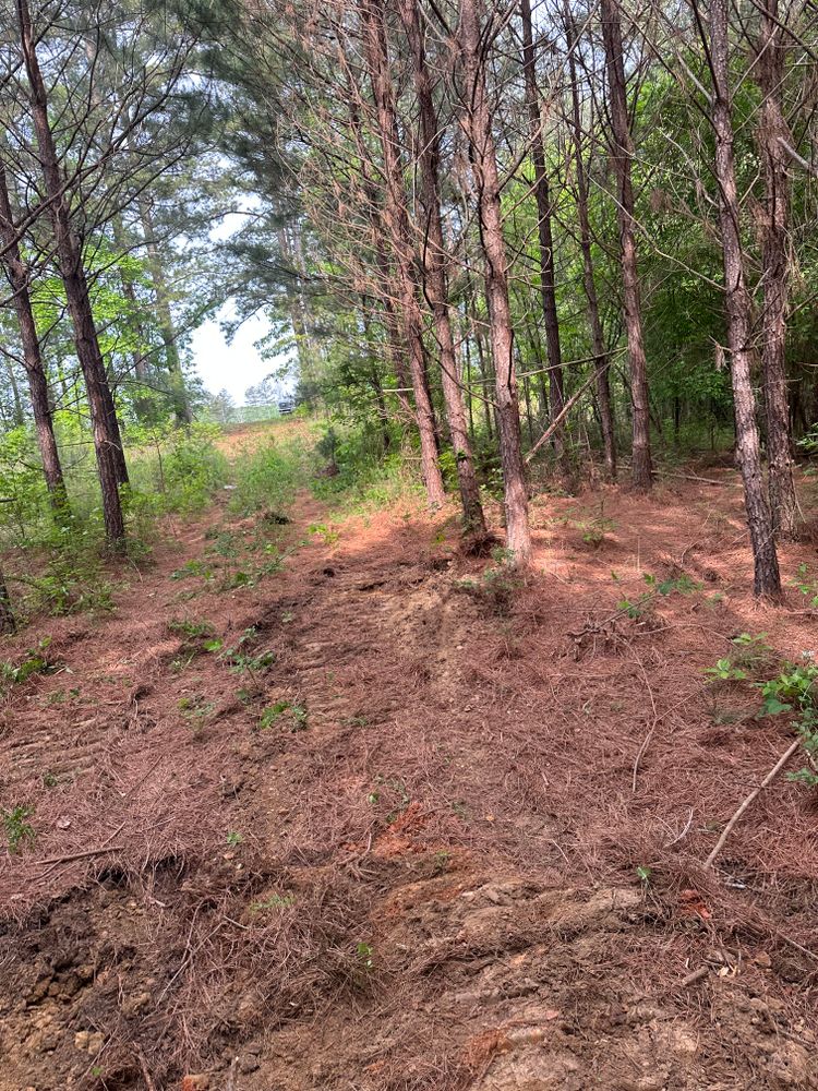 All Photos for A.P Land Management in Atlanta, Ga