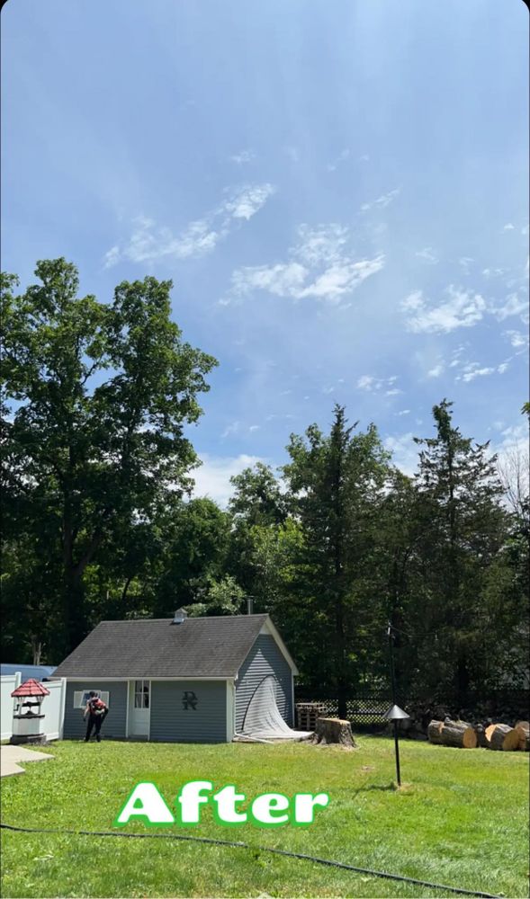 Tree Removal for PJP Landscape & Tree Service  in Poughkeepsie , NY