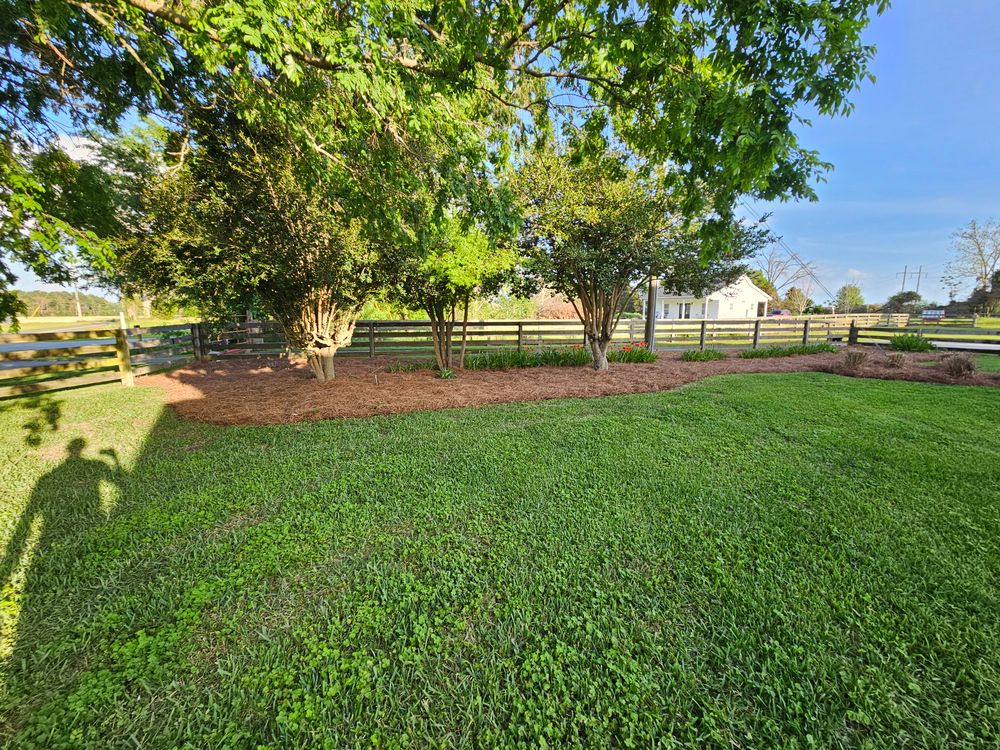 All Photos for Southern Shade Property Service in Ray City, GA