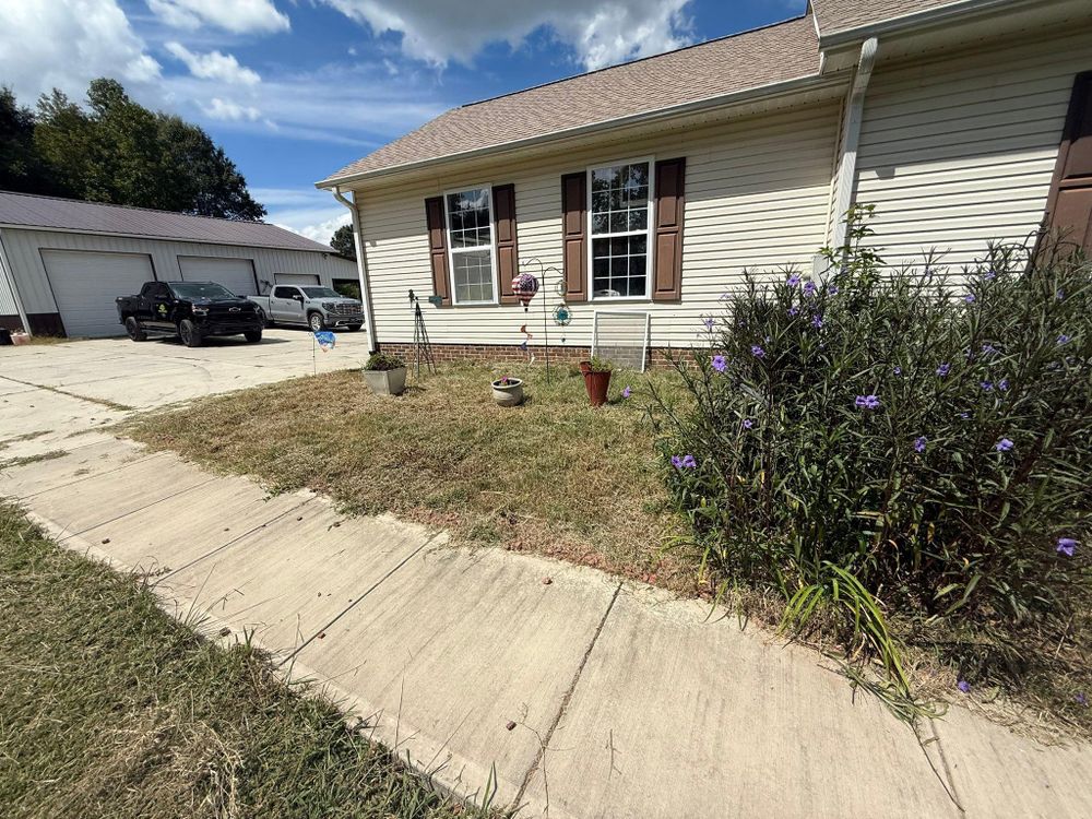 All Photos for Healthy Roots Landscaping in Apex, NC