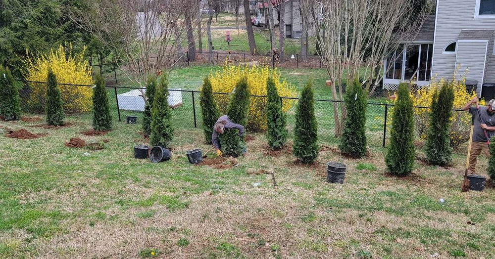 All Photos for Great Lakes Lawn & Landscape in knoxville, TN