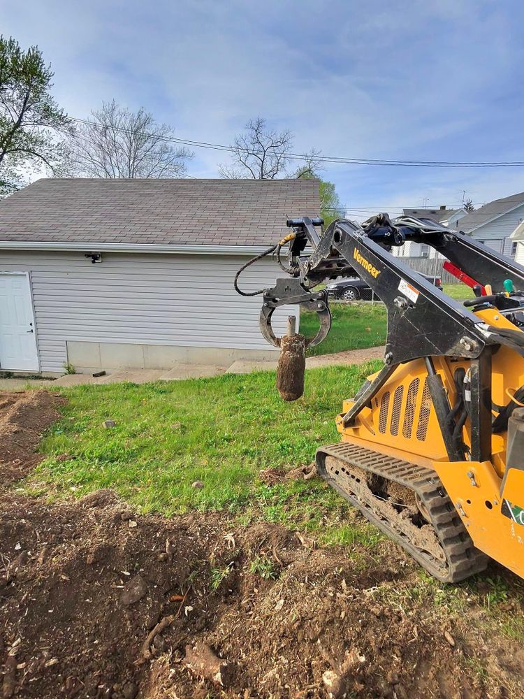 All Photos for F & F Tree Service in Beavercreek, OH