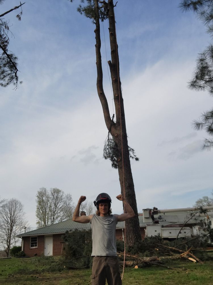 All Photos for Tree Fellers in Sumner County, TN
