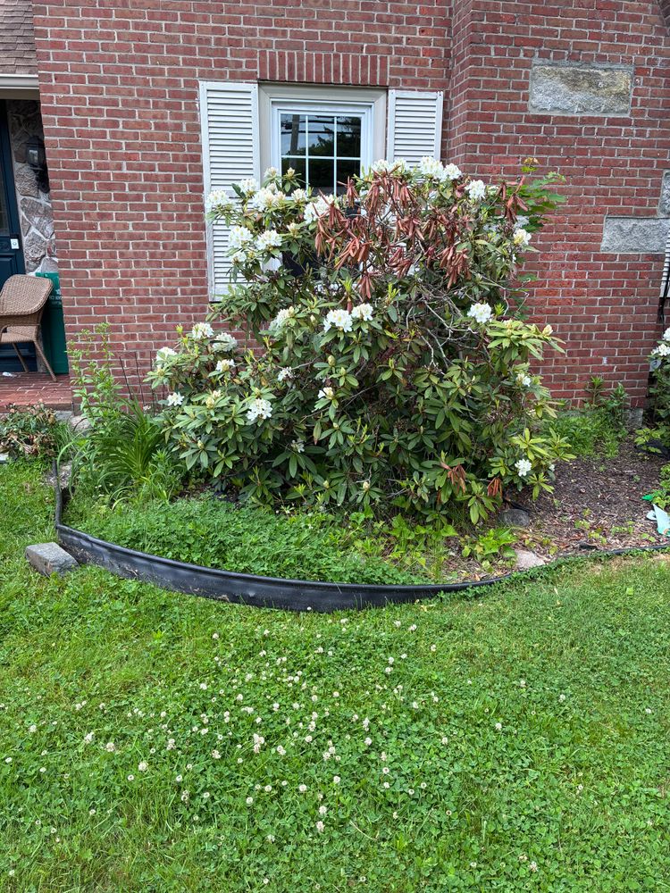 All Photos for JAD Excavating LLC in Goshen, CT