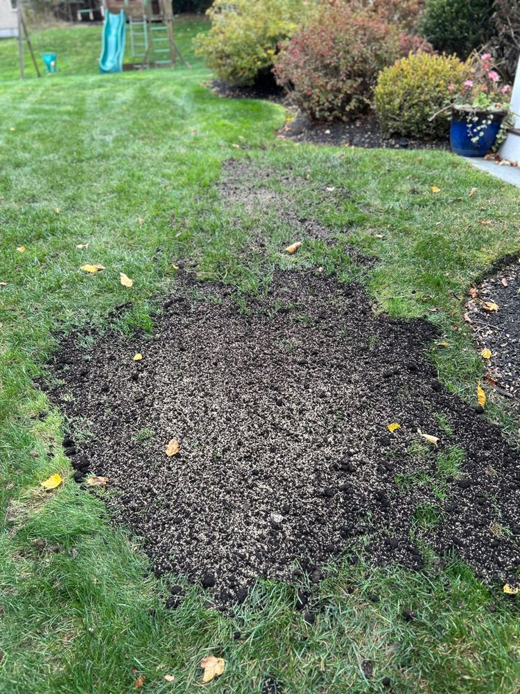 Landscape Maintenance for Pungitore Landscapes, Irrigation & Fertilizer in Hingham, MA