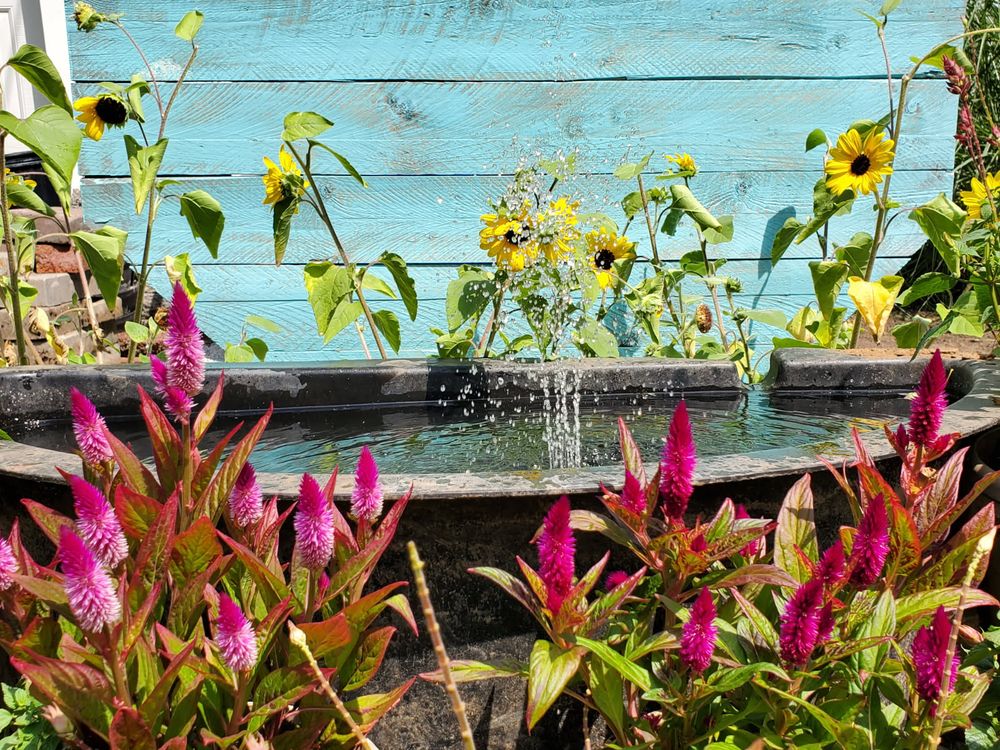 All Photos for Evolution Earthscapes, LLC in Ludlow, MA