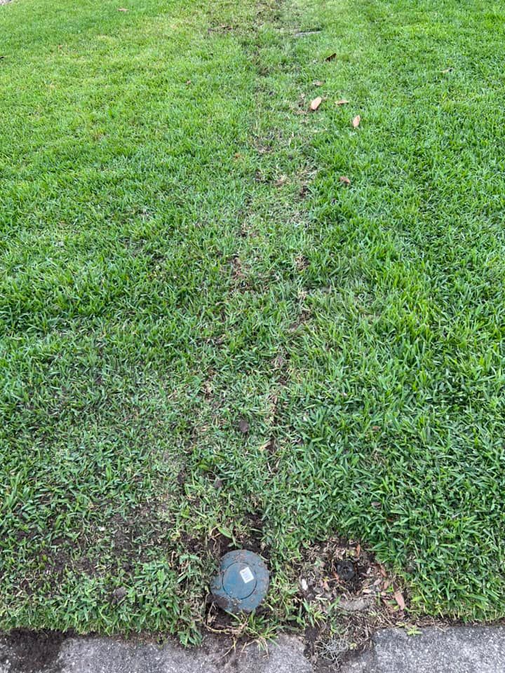 All Photos for R.B. & Company in Bellview, FL