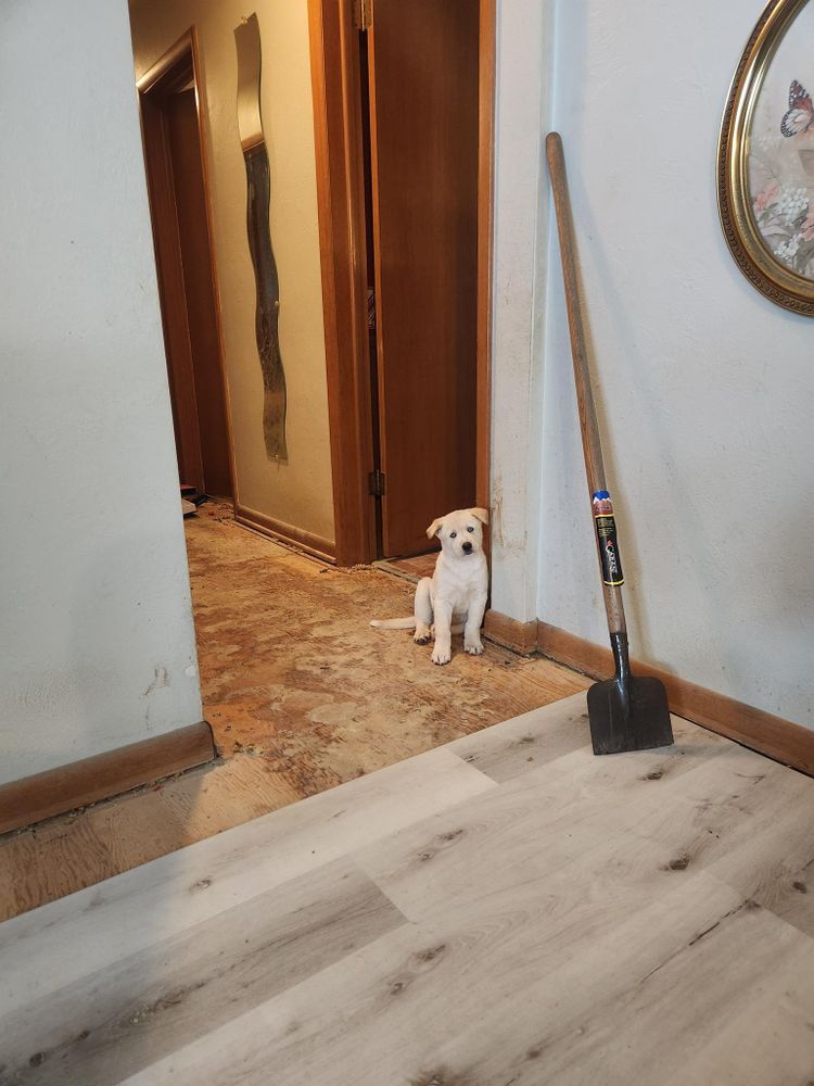 All Photos for Lind Boomer Flooring, Remodeling & Construction in Loves Park, IL