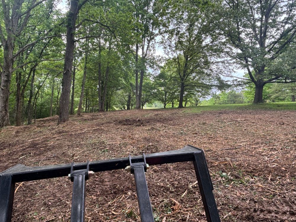 All Photos for Gregory Grass and Lawn in Lafayette, TN