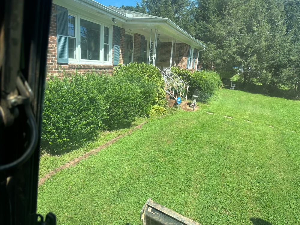 Shrub Removal  for Rescue Grading & Landscaping in Marietta, SC