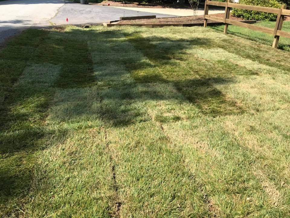 Our Sod Installation service offers homeowners a hassle-free way to transform their lawn with fresh, lush grass. Let us take care of the hard work so you can enjoy a beautiful yard. for Rescue Grading & Landscaping in Marietta, SC