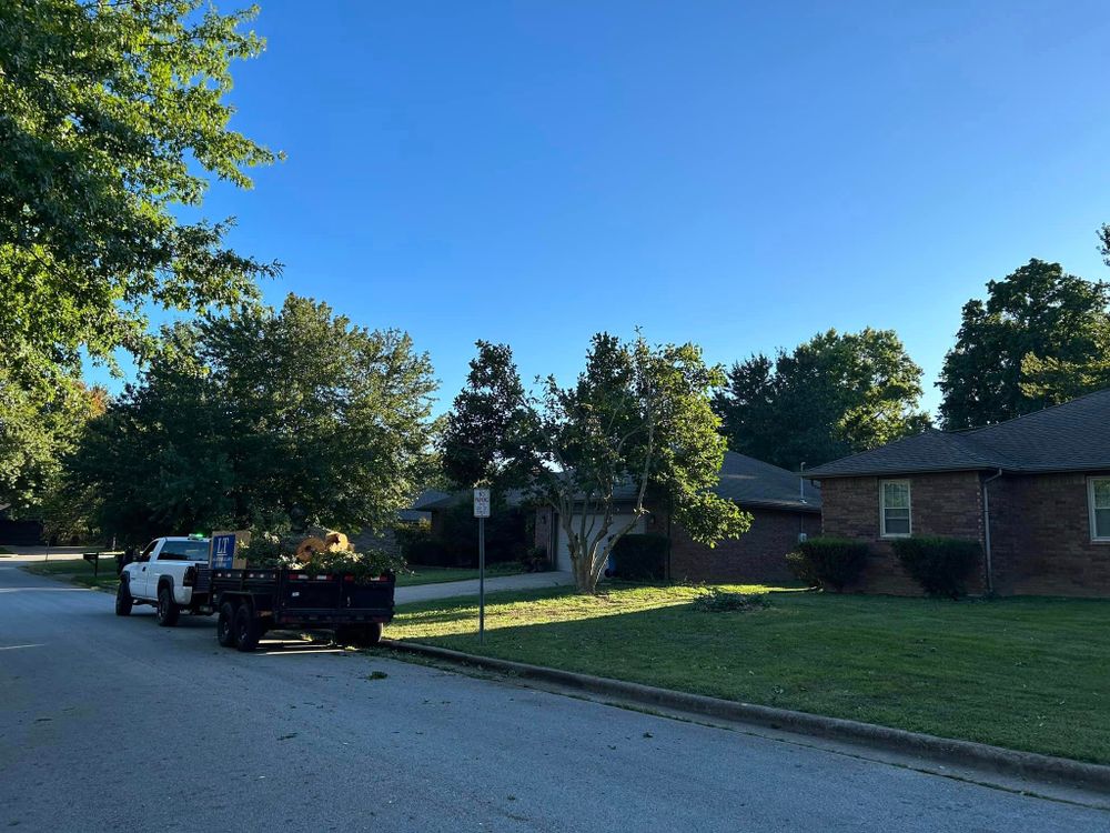 Tree Removal for Logan Tree Care LLC in Springfield, MO
