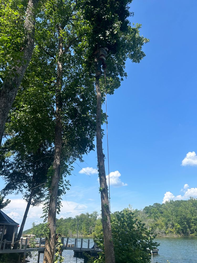 All Photos for Oakhurst Landscaping and Tree Service in Charlotte, NC