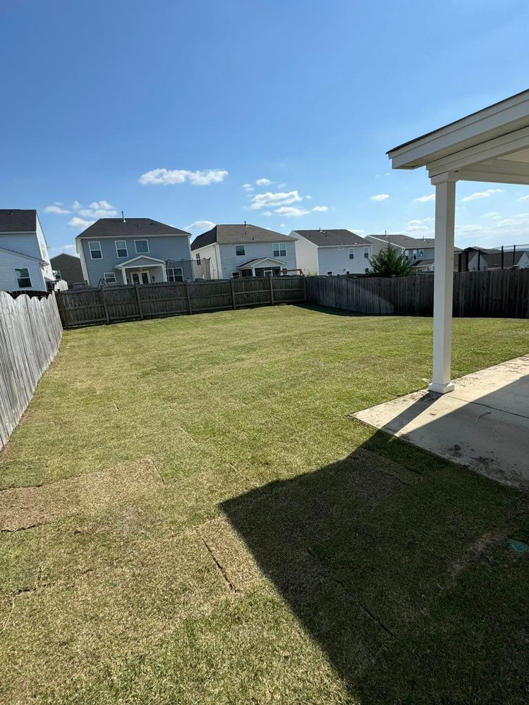 Landscaping for Trophy Outdoor Solutions in Lexington, SC