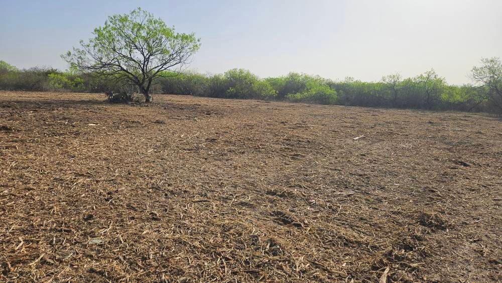 All Photos for Hernandez Land Clearing Services in Alice, TX