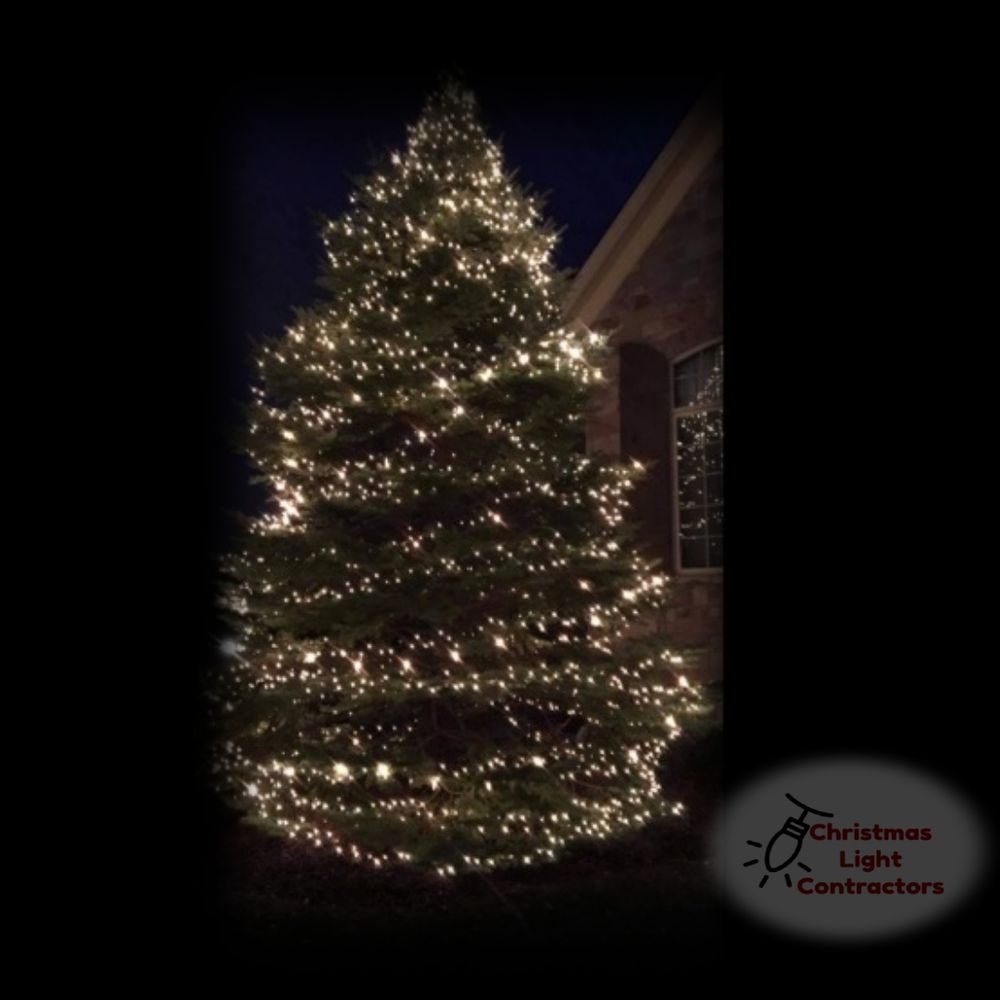 Enhance your holiday spirit with our expert Christmas tree light installation service, ensuring a beautiful and safe display that transforms your home into a winter wonderland without the hassle. for Christmas Light Installers in Indianapolis, IN
