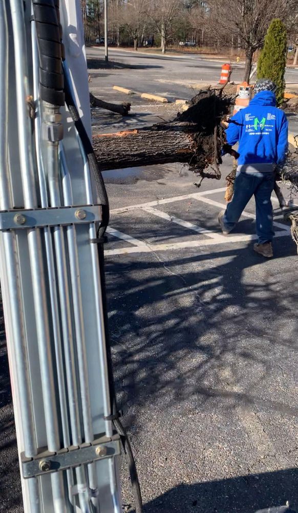 All Photos for Manera Concrete in Ventnor City, NJ