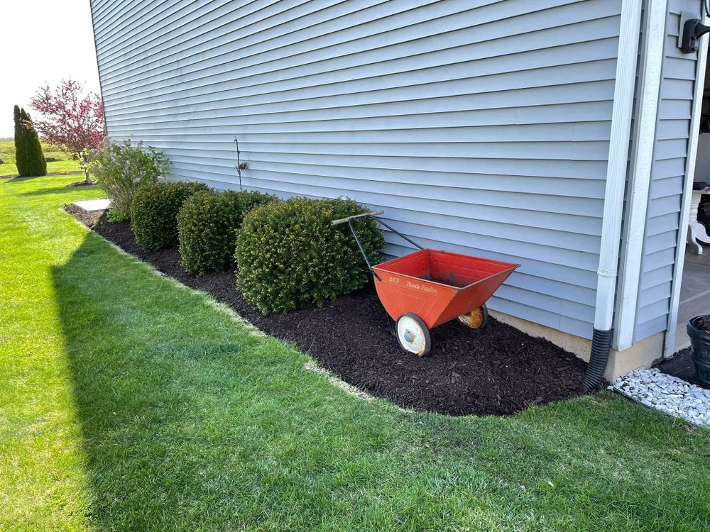 Enhance your home's curb appeal with our professional shrub trimming service, ensuring healthy growth and beautifully shaped greenery tailored to your landscape needs. experience precision care for a vibrant outdoor space. for Cena Landscaping in Rockford, IL