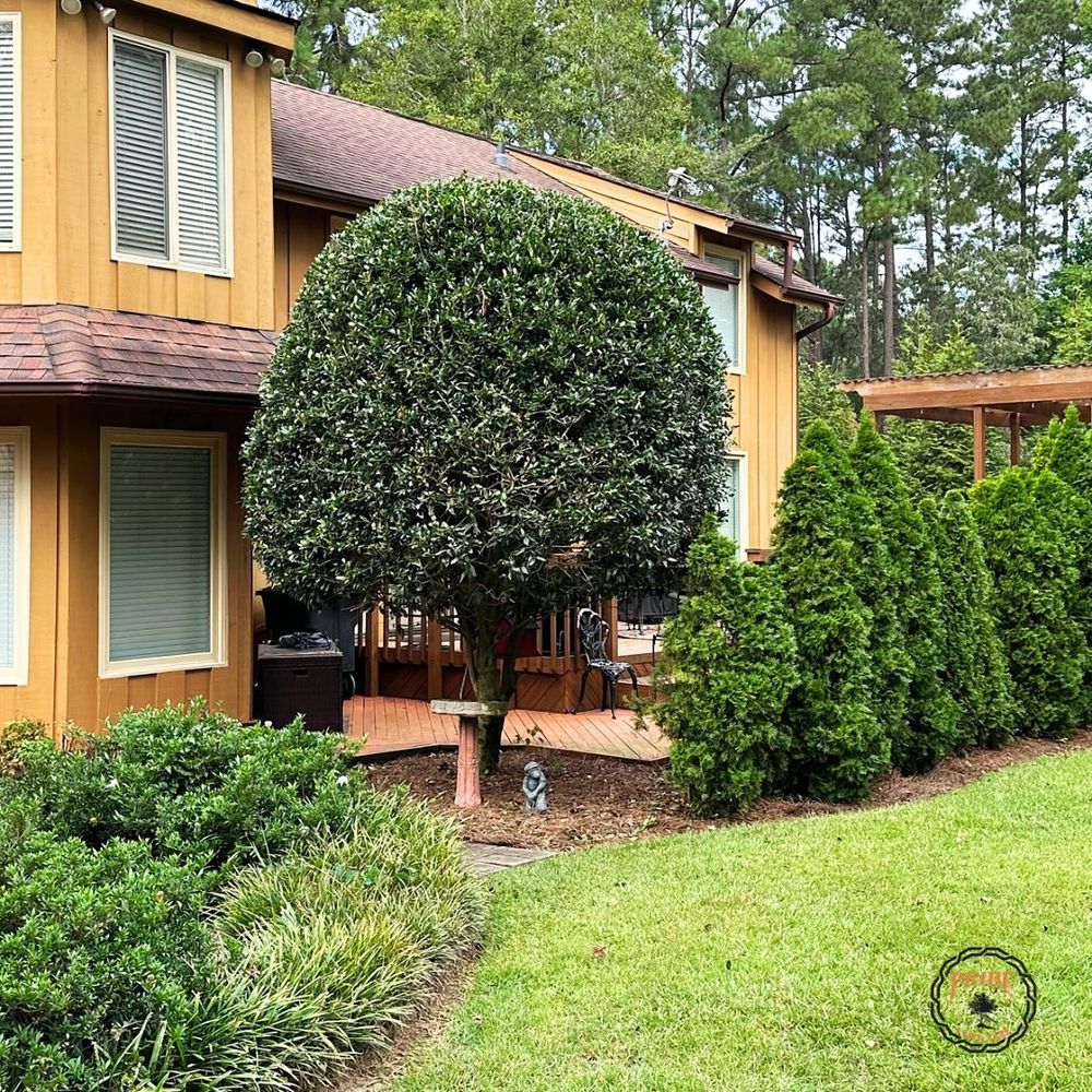 Lawn Care for Pride Lawn Care in Hope Mills, NC