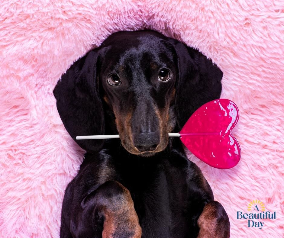 All Photos for A Beautiful Day Cleaning in Rogers, AR