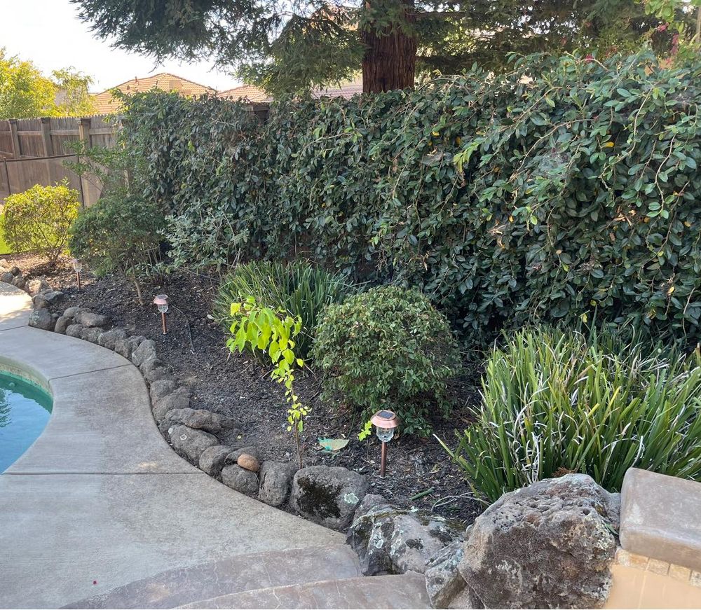 Fall and Spring Clean Up for Folsom Lake Landscaping in El Dorado Hills, CA