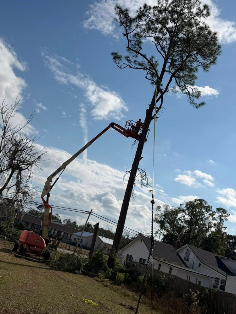 All Photos for Hunters Development Services in Jasper, FL