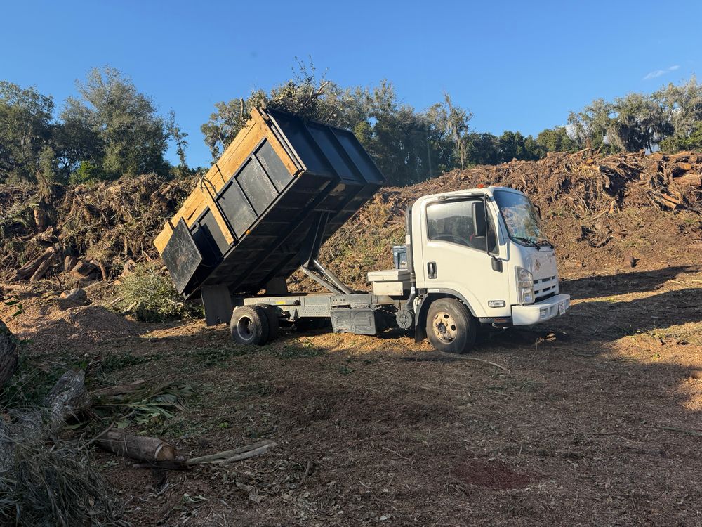 All Photos for Amerigrown Tree And Lawn in Apopka, FL