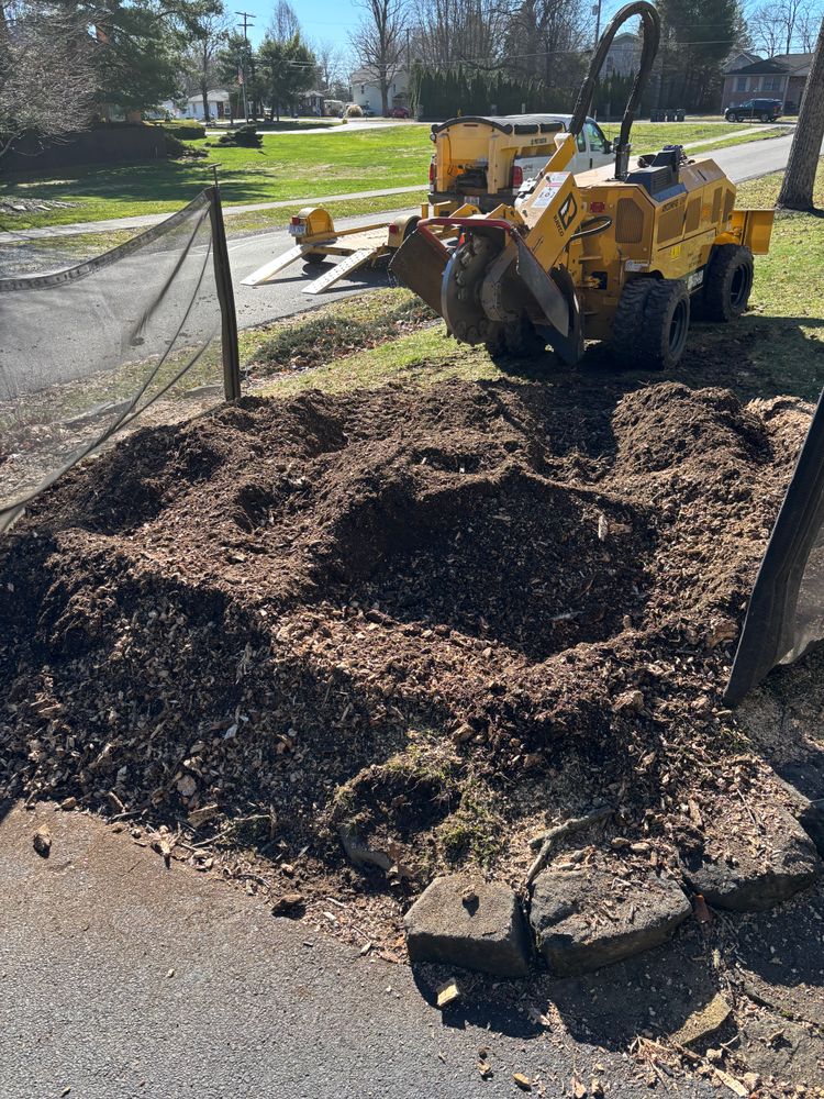 All Photos for Dean's Stump Removal in Youngstown, OH