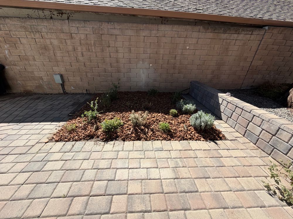 All Photos for CBA Landscaping in Hayward, CA