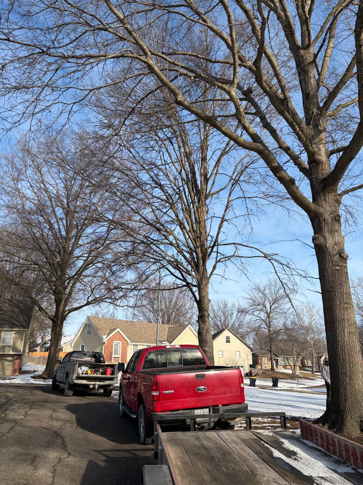 All Photos for Cross Family Tree Service in Kearney, MO
